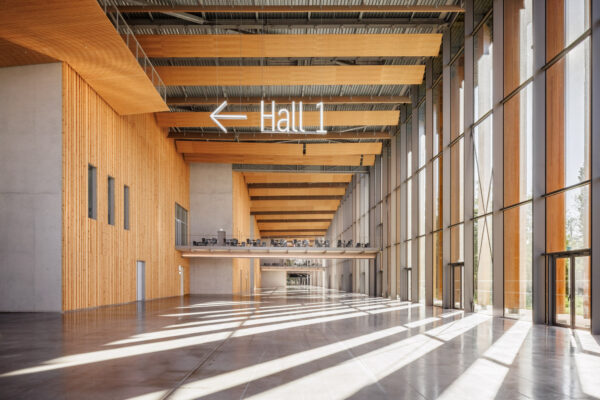 Forest Edge (©11h45) Forest Edge (©11h45)