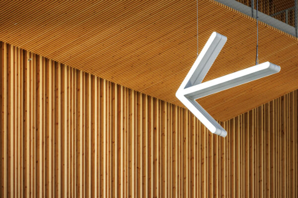 Forest Edge (©11h45) Forest Edge (©11h45)