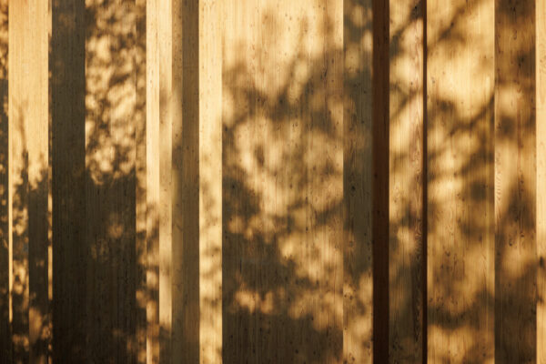 Forest Edge (©11h45) Forest Edge (©11h45)