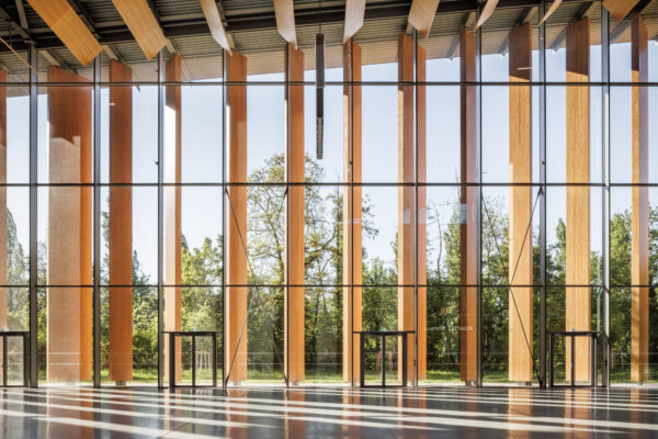 Forest Edge (©11h45) Forest Edge (©11h45)