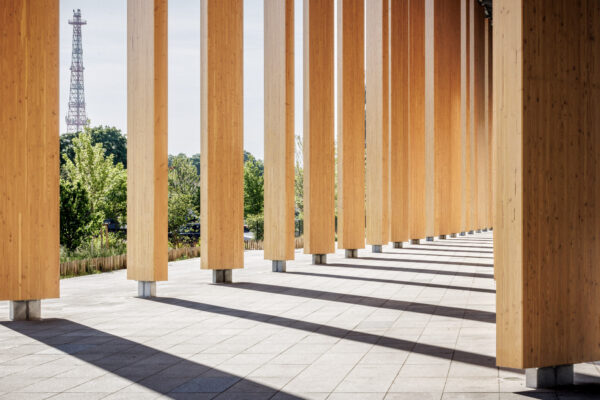 Forest Edge (©11h45) Forest Edge (©11h45)