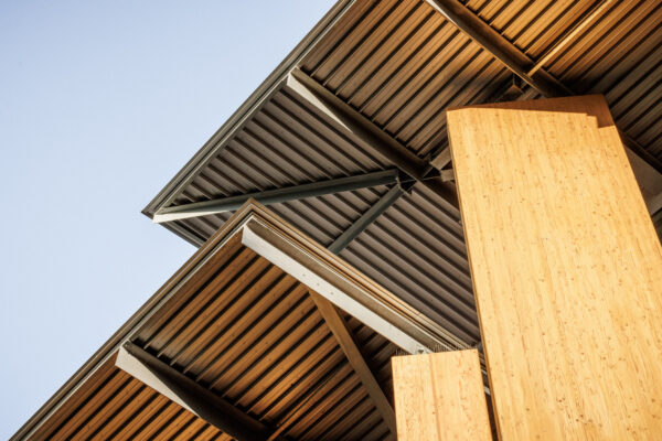 Forest Edge (©11h45) Forest Edge (©11h45)