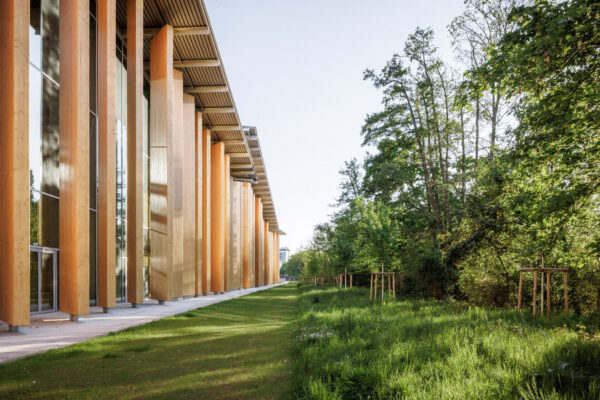 Forest Edge (©11h45) Forest Edge (©11h45)