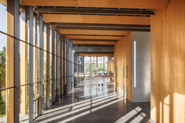 Forest Edge (©11h45) Forest Edge (©11h45)