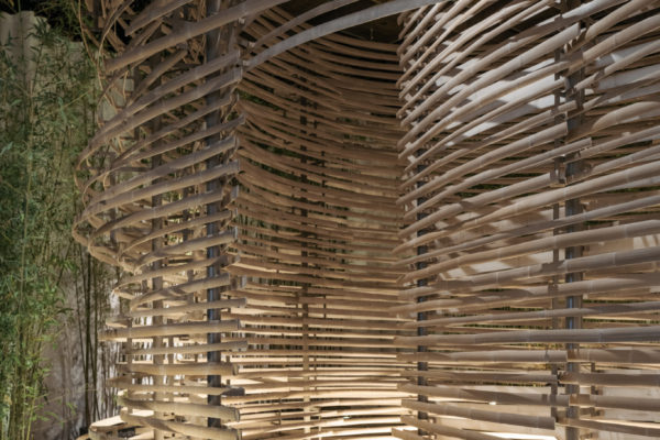 Bamboo Flow (© ︎CreatAR Images)