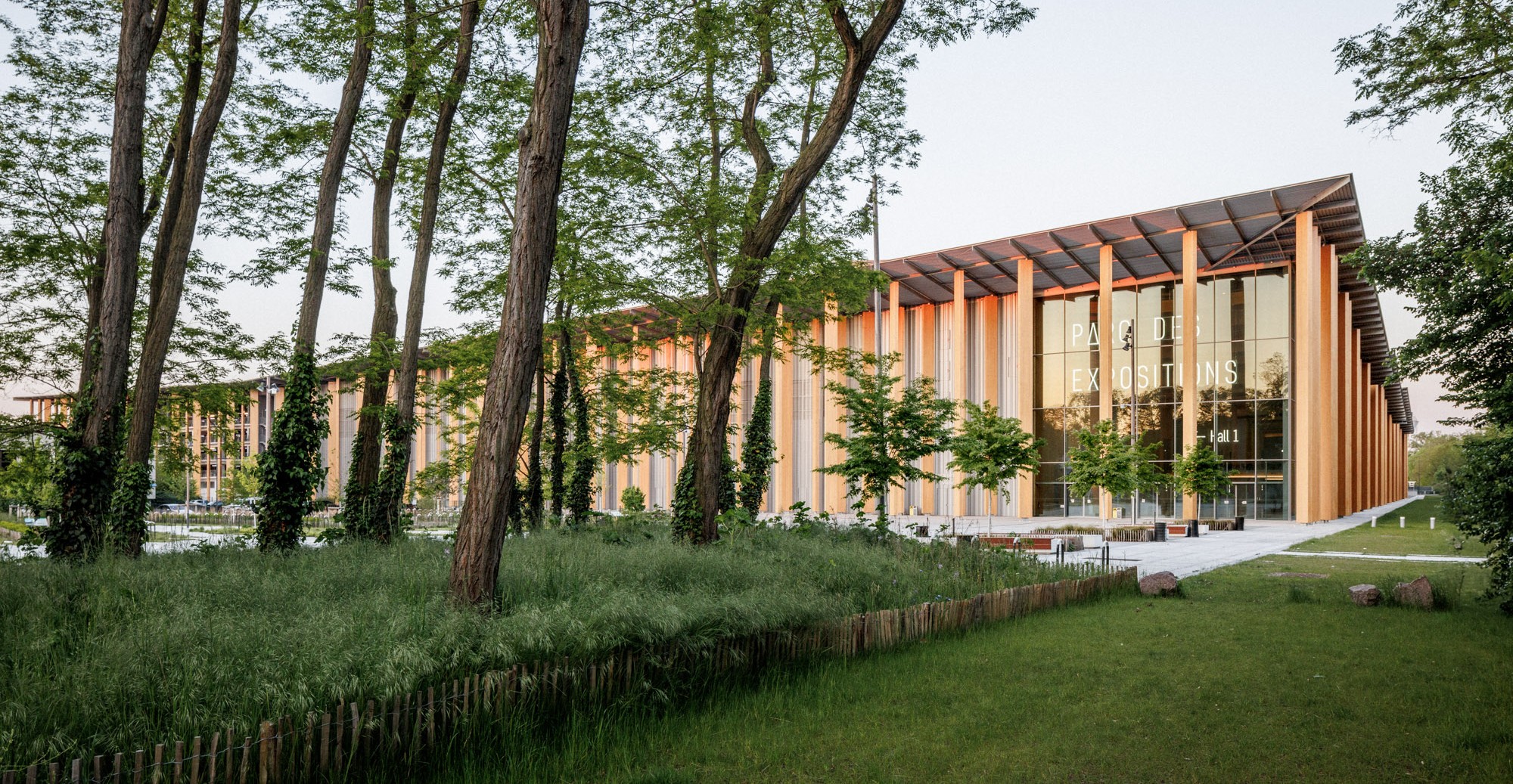 Forest Edge | ©11h45 Forest Edge | ©11h45