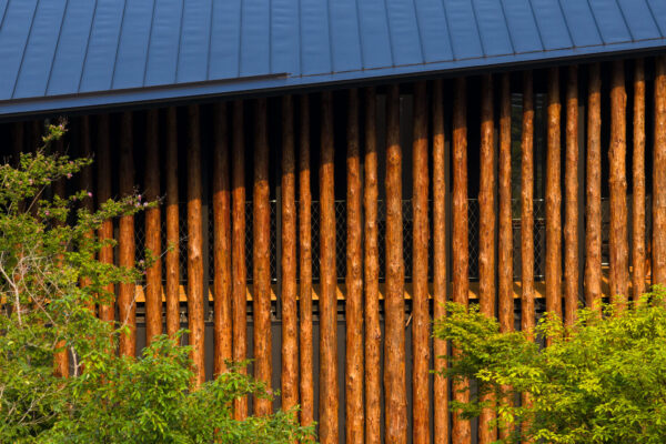 Hotel Do-Ya Beppu (©︎Masaki Hamada / kkpo)