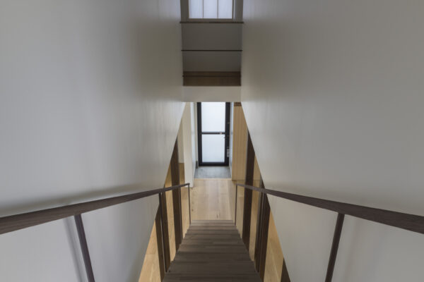 アショカの森 (© Yasushi Ichikawa) アショカの森 (© Yasushi Ichikawa)