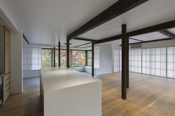 アショカの森 (© Yasushi Ichikawa) アショカの森 (© Yasushi Ichikawa)