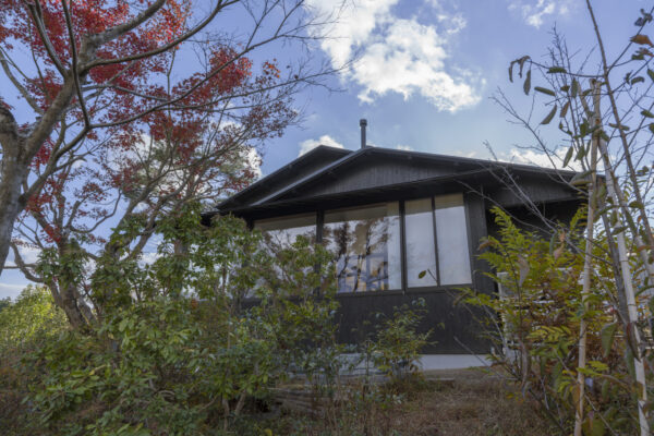 アショカの森 (© Yasushi Ichikawa) アショカの森 (© Yasushi Ichikawa)