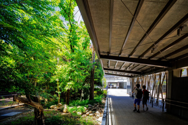 Denenchofu Seseragi Gym (©︎ Masaki Hamada / kkpo)