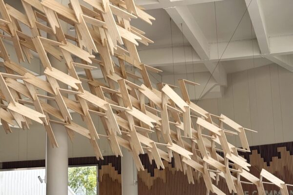 THE RGE CLOUD (© Marcin Sapeta and Antony Liu)