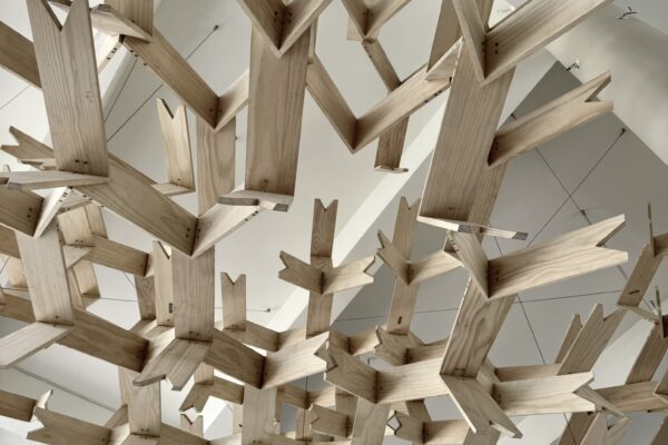 THE RGE CLOUD (© Marcin Sapeta and Antony Liu)