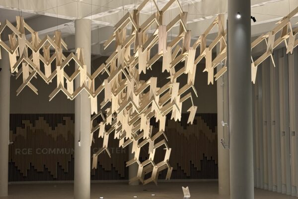 THE RGE CLOUD (© Marcin Sapeta and Antony Liu)