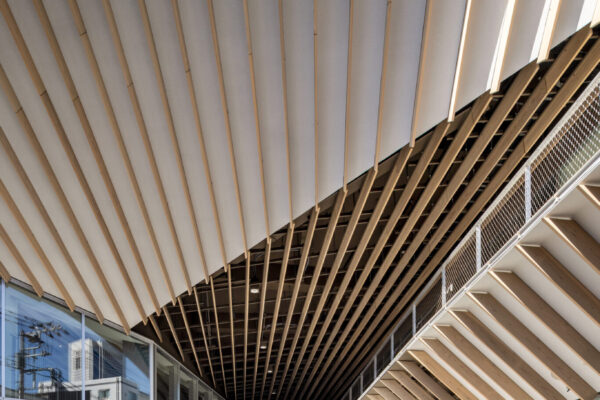 渋谷区本町CC 本町コミュニティセンター・渋谷本町こども園 (© Kawasumi-Kobayashi Kenji Photograph Office - Hiroshi Funaki)