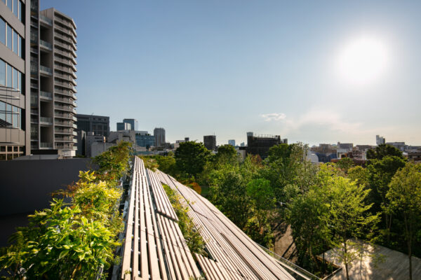 Kita Aoyama 3-chome District Town Development Project (©︎ Masaki Hamada / kkpo)