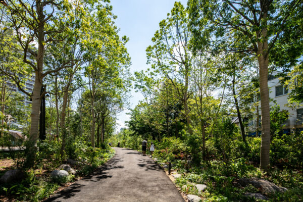 Kita Aoyama 3-chome District Town Development Project (©︎ Masaki Hamada / kkpo)