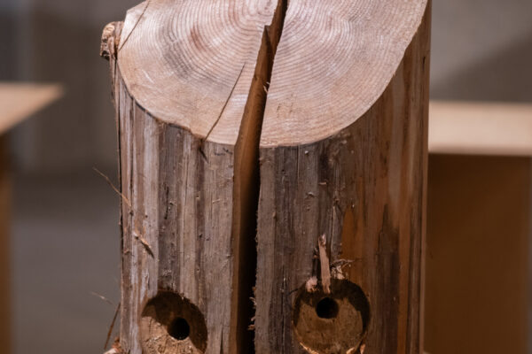 MOCTION 5周年記念隈研吾展 「里山に生きる、里山を活かす」 (©Kengo Kuma & Associates)