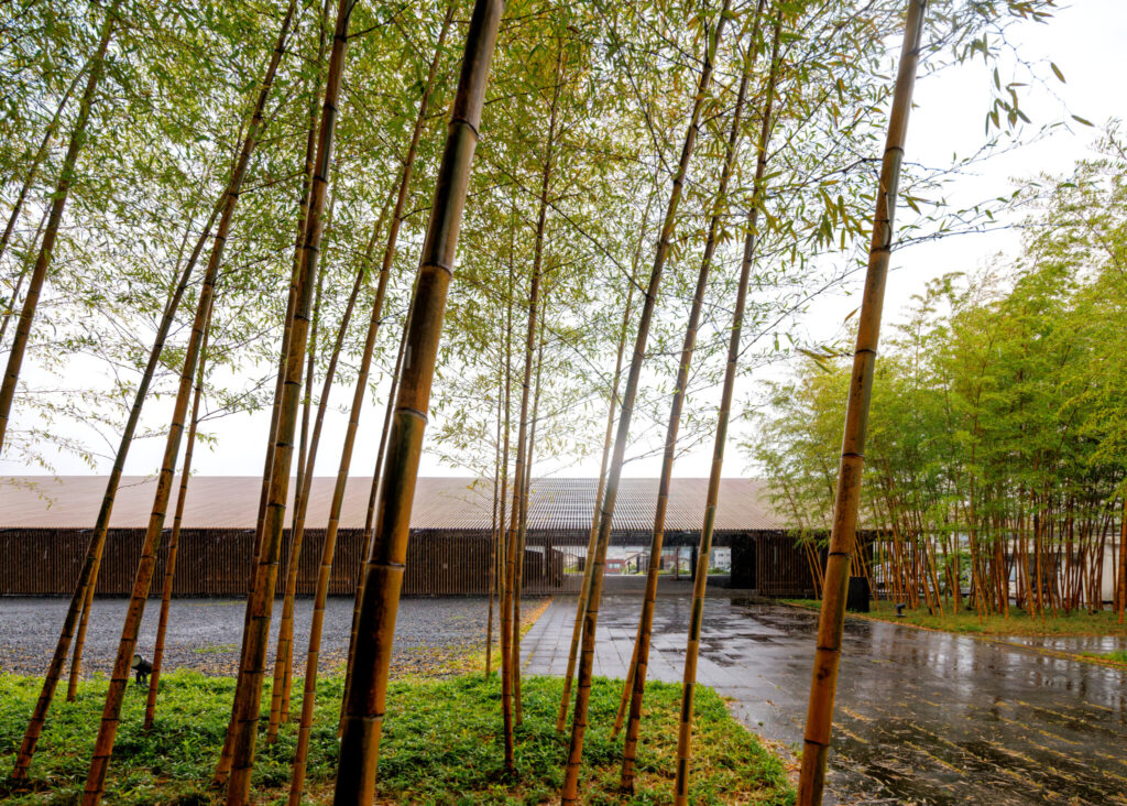 Renewal of Bato Hiroshige Museum | © Masaki Hamada (kkpo)