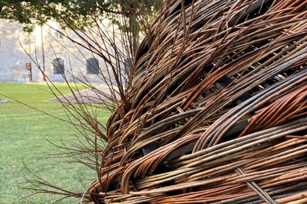 The Nest of Saint Francis (© Kengo Kuma & Associates) The Nest of Saint Francis (© Kengo Kuma & Associates)
