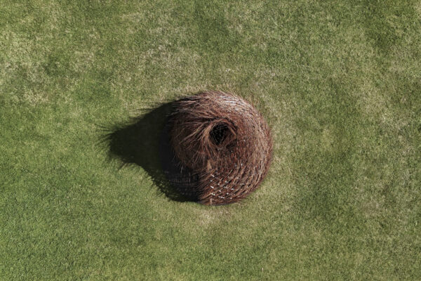 The Nest of Saint Francis (© Yacademy) The Nest of Saint Francis (© Yacademy)