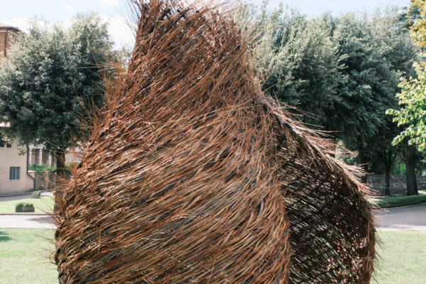 The Nest of Saint Francis (© Yacademy) The Nest of Saint Francis (© Yacademy)