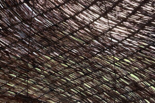 The Nest of Saint Francis (© Kengo Kuma & Associates) The Nest of Saint Francis (© Kengo Kuma & Associates)