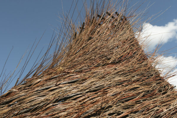 The Nest of Saint Francis (© Kengo Kuma & Associates) The Nest of Saint Francis (© Kengo Kuma & Associates)