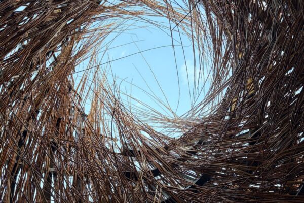 The Nest of Saint Francis (© Kengo Kuma & Associates) The Nest of Saint Francis (© Kengo Kuma & Associates)